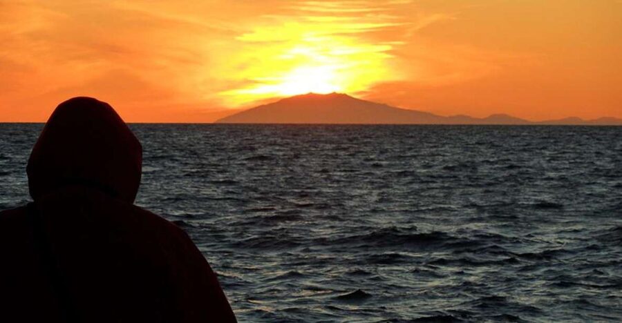Reykjavik: Midnight Sun Whale Watching Tour - Reykjavik Midnight Sun Whale Watching in Faxafloi Bay: what makes it special