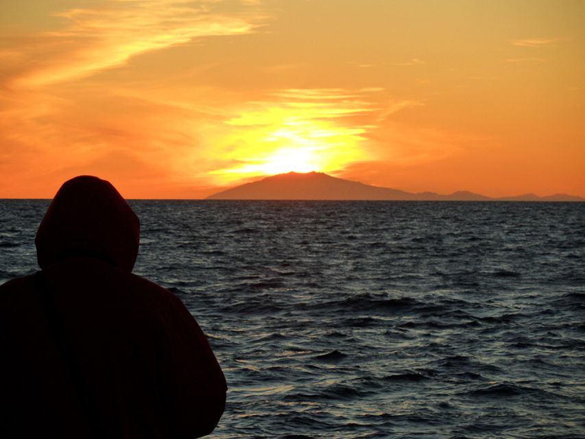Reykjavik: Midnight Sun Whale Watching Tour - How the crew and marine biologist guides spot whales without bothering them