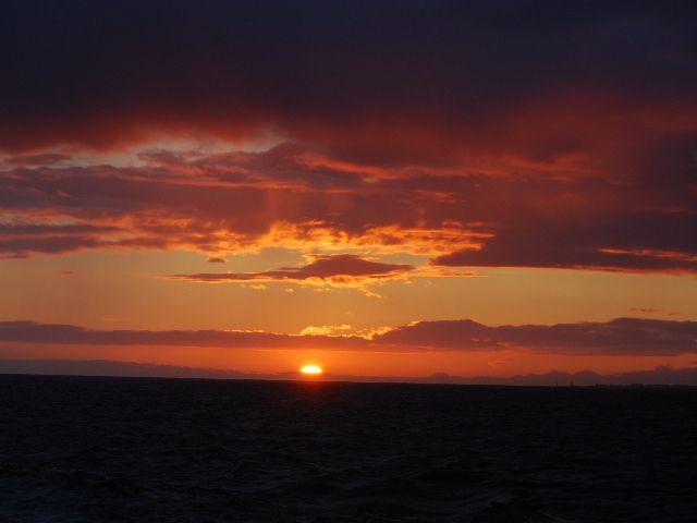 Reykjavik: Midnight Sun Whale Watching Tour - Weather, wind, and seasickness: what to bring for a smoother evening