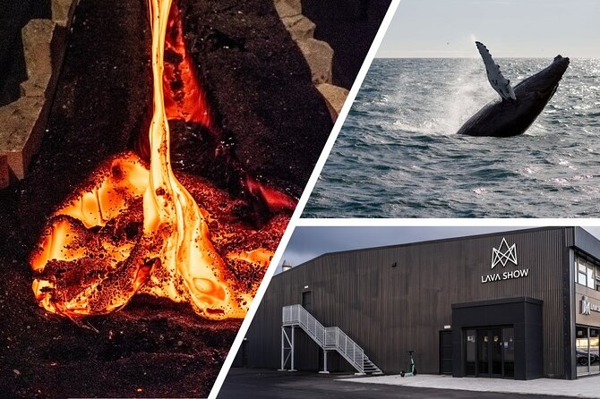 Reykjavik Whale Watching and Lava Show - Weather, cancellations, and the two-part ticket logic