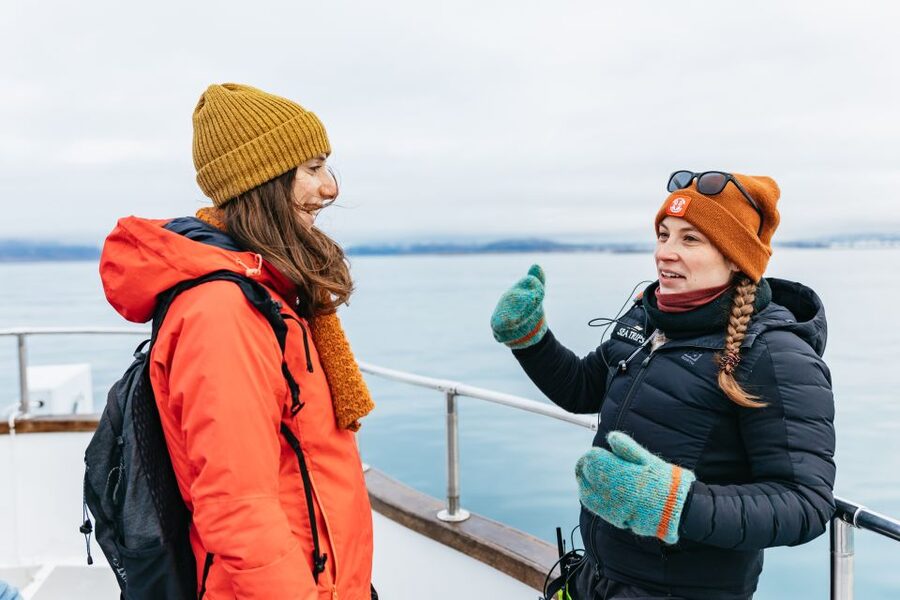 Reykjavík: Whale Watching Cruise on the Amelia Rose Yacht - Key Highlights I’d Prioritize