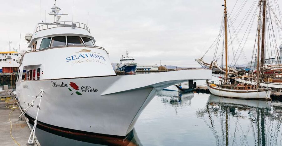 Reykjavík: Whale Watching Cruise on the Amelia Rose Yacht - The Triple Deck Layout: How to Stay Warm and Still See Everything