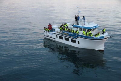 Reykjavik: Whale Watching Express - The Express Boat Setup: Decks, Cabin Comfort, and Warm Overalls