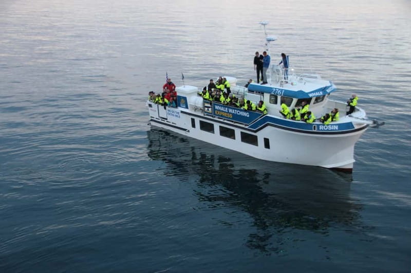 Reykjavik: Whale Watching Express - The Express Boat Setup: Decks, Cabin Comfort, and Warm Overalls
