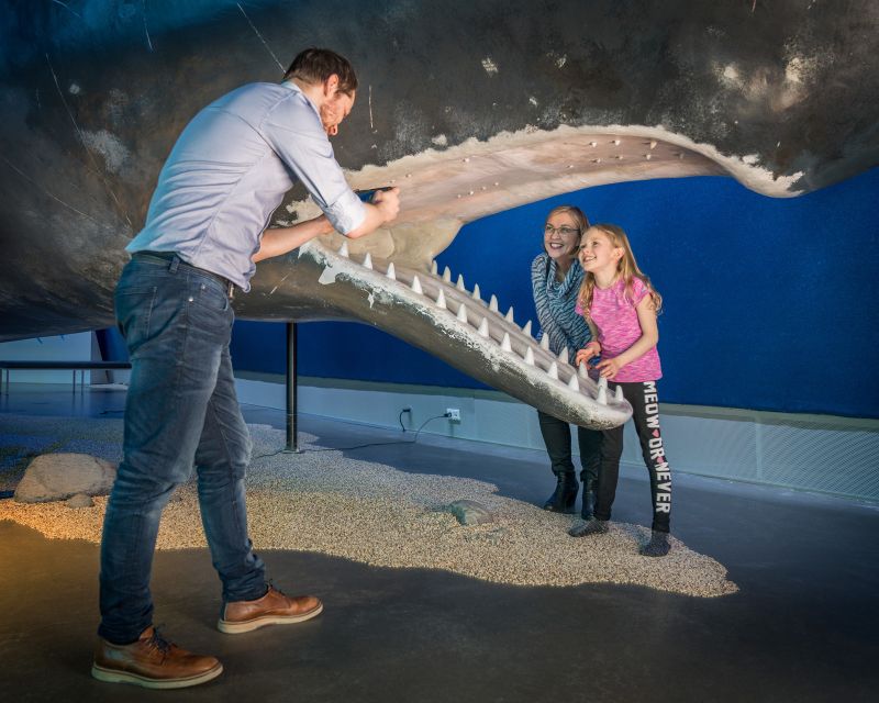Reykjavik: Whales of Iceland Museum Entrance Ticket - Using the audio guide well (and why headphones matter)