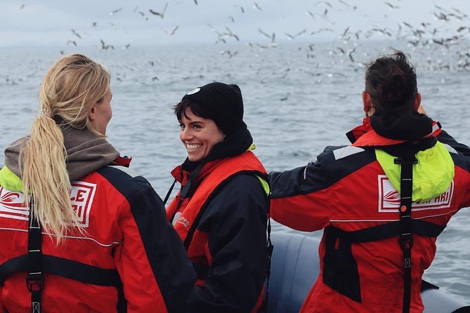 RIB Whale Watching Small-Group Boat Tour from Reykjavik - The first stage near Reykjavik Old Harbour (Ægisgarður 5d): puffins plus the initial hunt