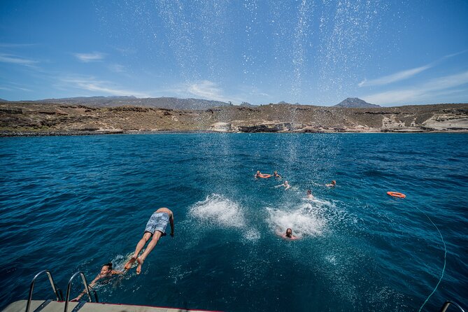Royal Delfin 3H Dolphin & Whale Watching! Swimming & Lunch! - My Quick Call: Should You Book Royal Delfín?