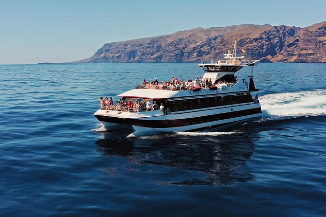 Royal Delfin - 4'5H Dolphin & Whale Watching - Los Gigantes Masca - Lunch & Swim - Purpose-Built Catamaran with Underwater Viewing Windows (and why it matters)