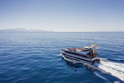 Royal Delfin - 4'5H Dolphin & Whale Watching - Los Gigantes Masca - Lunch & Swim - Masca Bay Swim Stop: how to plan for the water break