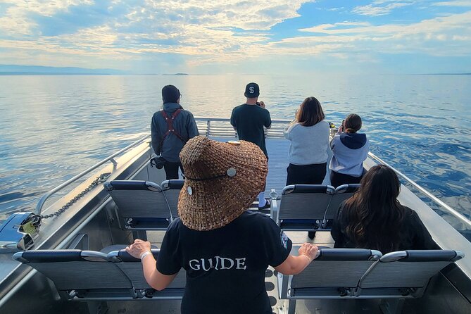 Salish Sea Whale Watching Tour in Campbell River - Weather matters in the Salish Sea (and this tour is honest about it)