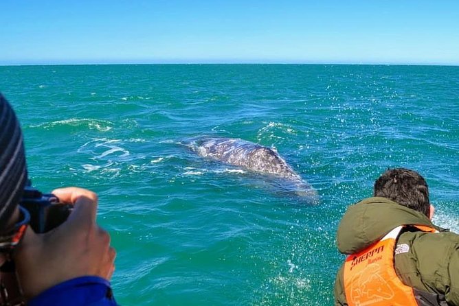 Samana Whale Watching + Cayo Levantado ( Bacardi Island) with Lunch by Locals - Getting there: where the tour starts and ends