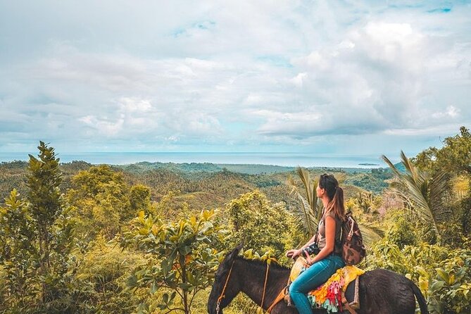Samaná Whale Watching, waterfall & Cayo Levantado Adventure - Food and drinks: what’s included and what it means for you