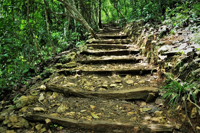 Samaná Whale Watching, waterfall & Cayo Levantado Adventure - Comfort, clothing, and the small stuff that changes the day
