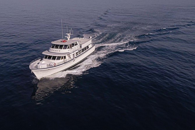 San Diego: 3 Hour Whale Watching Cruise - A 3-Hour Whale Watch from 1717 Quivira Rd