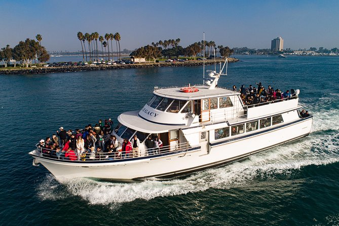 San Diego: 3 Hour Whale Watching Cruise - Open Ocean Search: Whales, Dolphins, and the 100-Foot Rule
