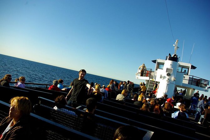 San Diego Whale Watching Cruise - Seasickness and motion: your comfort strategy before boarding