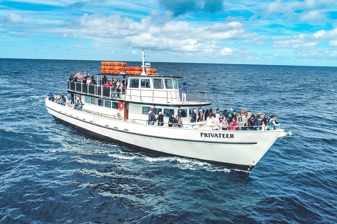 San Diego Whale Watching & Dolphin Cruise - Practical tips that make your day smoother