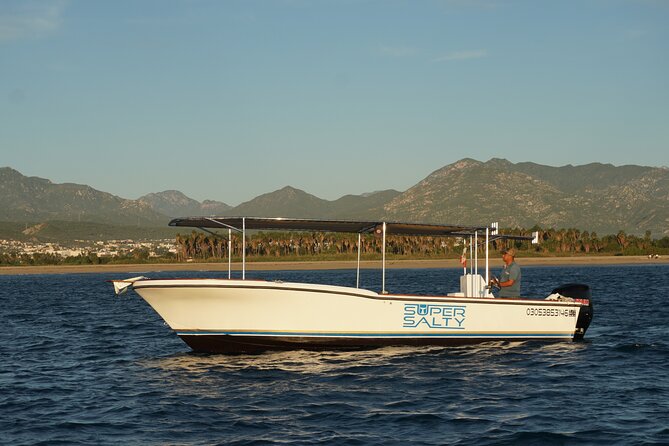 San Jose del Cabo Small-Group Sunrise Whale Watching - Why a 6:00 am San Jose del Cabo start pays off