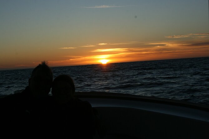 San Jose del Cabo Small-Group Sunrise Whale Watching - How the captain finds quieter spots (and why patience matters)