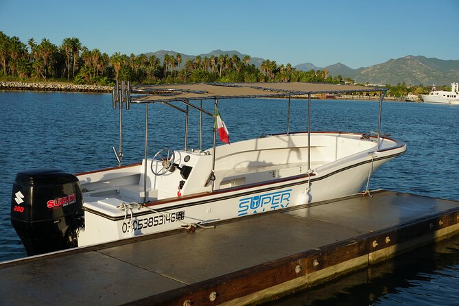 San Jose del Cabo Small-Group Sunrise Whale Watching - Price and value: what $99 buys you in Cabo whale season