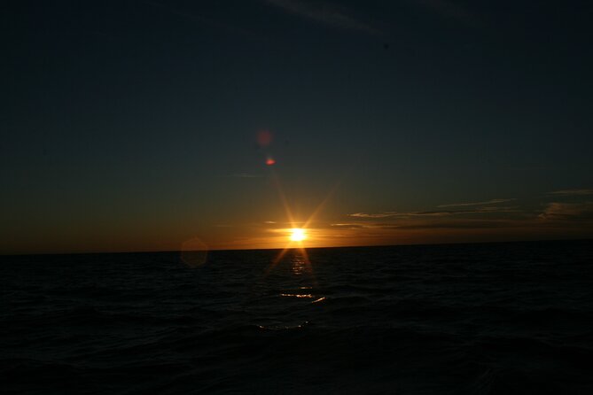 San Jose del Cabo Small-Group Sunrise Whale Watching - The best fit: who should book this sunrise whale watching tour