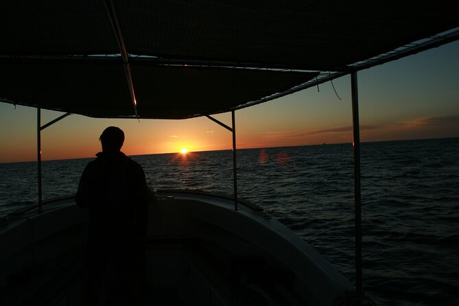 San Jose del Cabo Small-Group Sunrise Whale Watching - Small-group setup: better answers, less waiting, calmer vibes