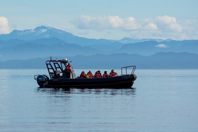 Sea Otter and Whale Watching Tour on Northern Vancouver Island - Weather reality: how to set expectations for whales and orcas