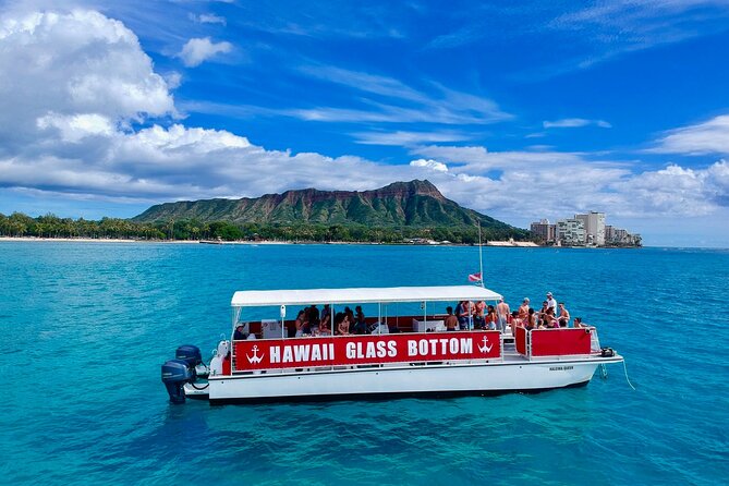 Sea Safari, Dolphins, Turtles and Waikiki Cruise - Getting on board: Slip F21, check-in timing, and what to bring