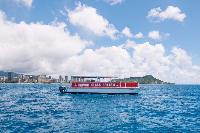 Sea Safari, Dolphins, Turtles and Waikiki Cruise - Comfort on board: stability, seasickness, and why no swimming changes the vibe