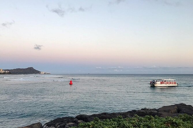 Sea Safari, Dolphins, Turtles and Waikiki Cruise - Is it good value at about $46 for an hour?