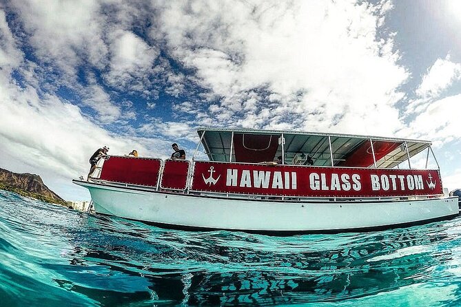Sea Safari, Dolphins, Turtles and Waikiki Cruise - Stop 1 Kewalo Basin: the start of the marine-life hunt
