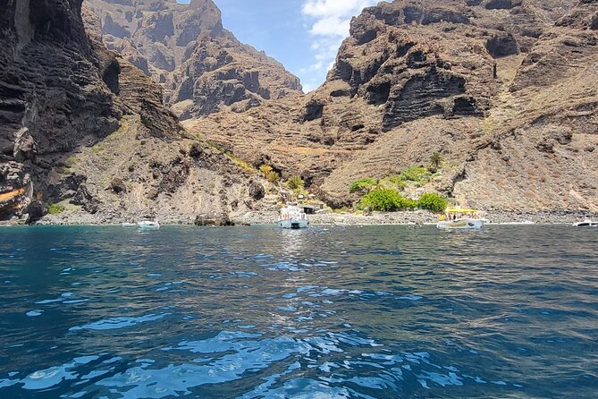SEA SAFARI Dolphins, Whales, 3h speedboat DISCOVERY-TOUR - Chasing whales and dolphins from very close (the 3-hour rhythm)