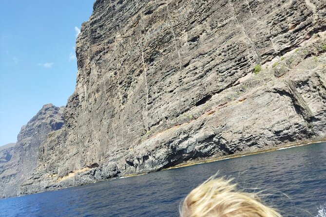 SEA SAFARI Dolphins, Whales, 3h speedboat DISCOVERY-TOUR - BladeFish underwater propulsion: the highlight that feels different
