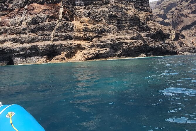 SEA SAFARI Dolphins, Whales, 3h speedboat DISCOVERY-TOUR - The south Tenerife return cruise and cliff views