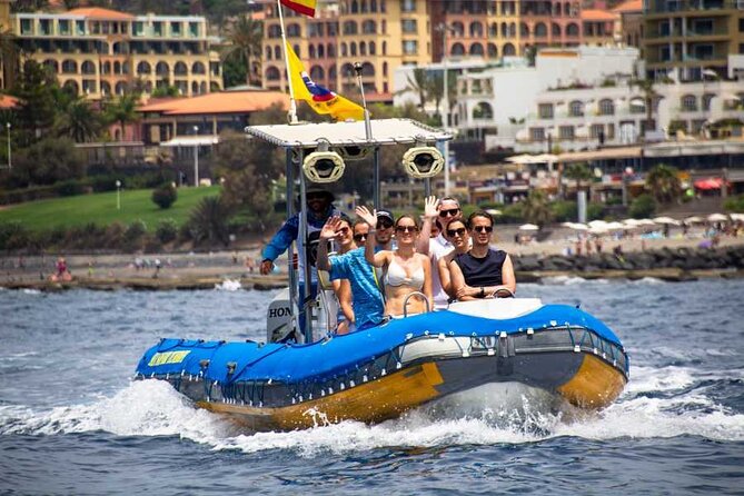 SEA SAFARI, Dolphins, Whales, snorkeling, snack and drink, 2 h speedboat - Atlantic speedboat spotting from Costa Adeje