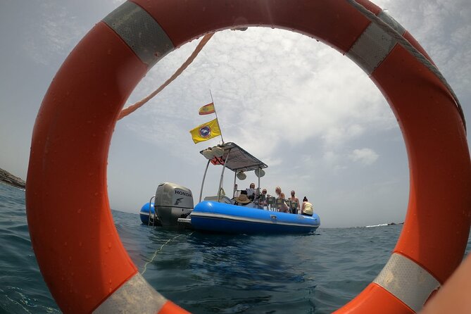 SEA SAFARI, Dolphins, Whales, snorkeling, snack and drink, 2 h speedboat - The 2-hour timeline and how it feels