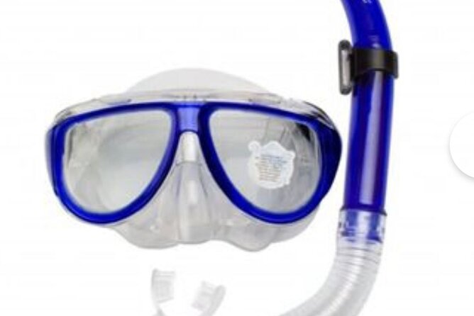 SEA SAFARI, Dolphins, Whales, snorkeling, snack and drink, 2 h speedboat - Snorkeling and swimming time (what to expect)