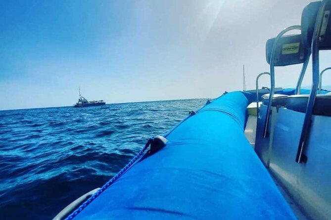 SEA SAFARI, Dolphins, Whales, snorkeling, snack and drink, 2 h speedboat - Key highlights I’d bank on