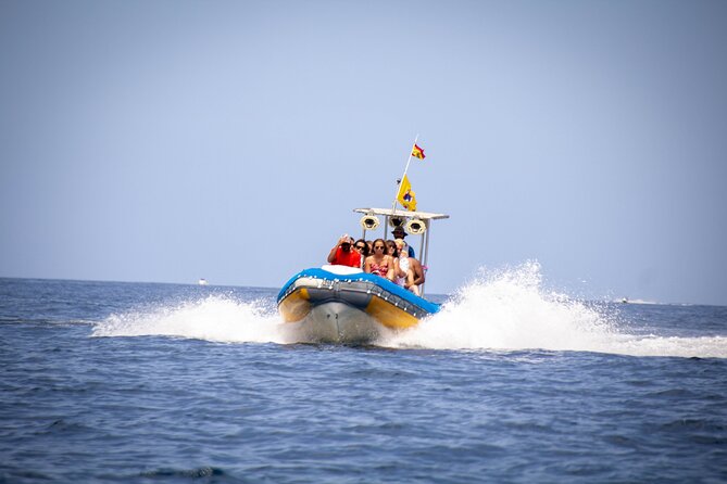 SEA SAFARI Dolphins,Whales, snorkeling, snack, drink, 3h private - Key highlights worth knowing before you go