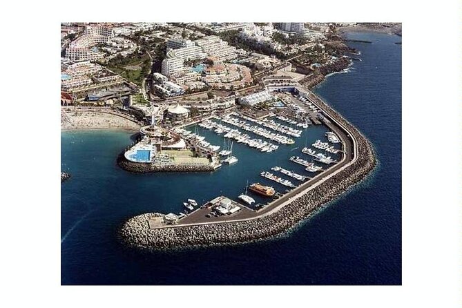 SEA SAFARI Dolphins,Whales, snorkeling, snack, drink, 3h private - Setting Off From Puerto Colón: the 3-hour format that keeps it fun
