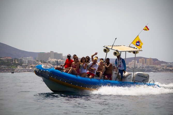 SEA SAFARI Dolphins,Whales, snorkeling, snack, drink, 3h private - The route to the water: Puerto Colón to the Masca area feel