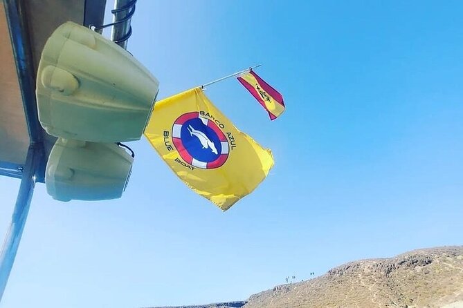 SEA SAFARI Dolphins,Whales, snorkeling, snack, drink, 3h private - Speedboat energy: closer views, quicker repositioning