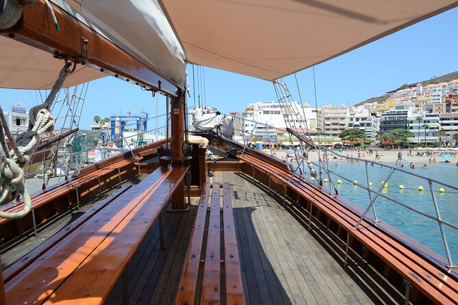 Sealife Dolphin & Whale Watching aboard Portuguese schooner - Key things I’d prioritize before you go