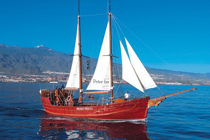 Sealife Dolphin & Whale Watching aboard Portuguese schooner - Onboard Vibe: Crew Explanations, Family Energy, and the Open Bar