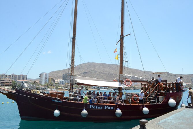 Sealife Dolphin & Whale Watching aboard Portuguese schooner - Who This Tour Suits Best on Tenerife
