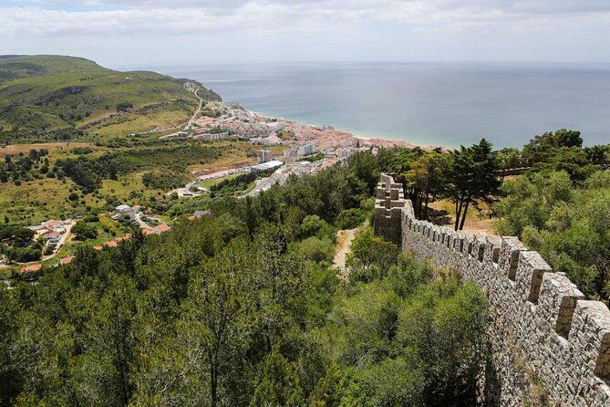 Sesimbra: Arrábida Dolphin and Whale Watching tour with biologist - Key highlights to look for