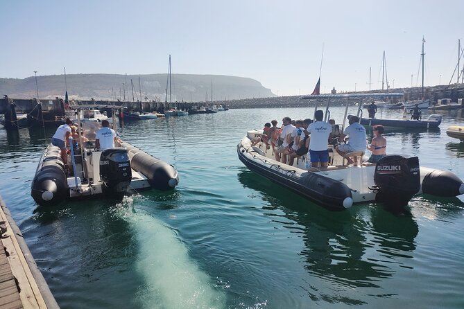 Sesimbra: Arrábida Dolphin and Whale Watching tour with biologist - On the water with a biologist: how the watching is done
