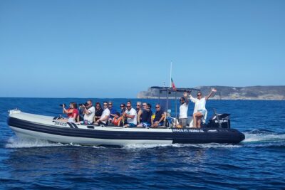 Sesimbra: Arrábida Dolphin and Whale Watching tour with biologist - Meeting at Sesimbra Marina: quick comforts before you cast off