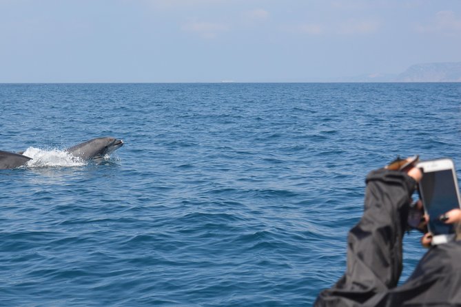 Sesimbra: Arrábida Dolphin and Whale Watching tour with biologist - The stop that turns a boat tour into a sea adventure: snorkel and swim