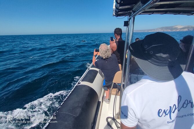 Sesimbra: Arrábida Dolphin and Whale Watching tour with biologist - Boat comfort reality check: small craft, fast ride, open sky